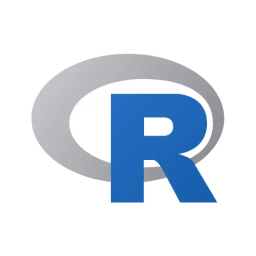 R icon