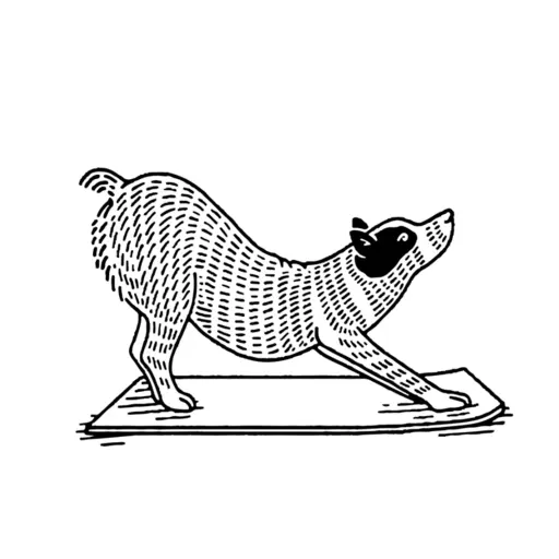 Find What Feels Good Yoga icon