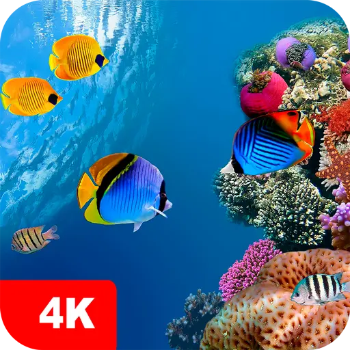 Underwater Wallpapers 4K icon