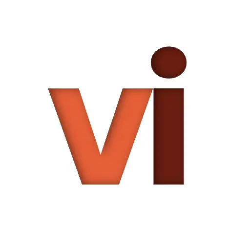 Visa Index icon