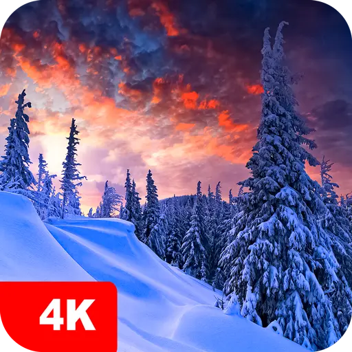 Winter Wallpapers 4K icon