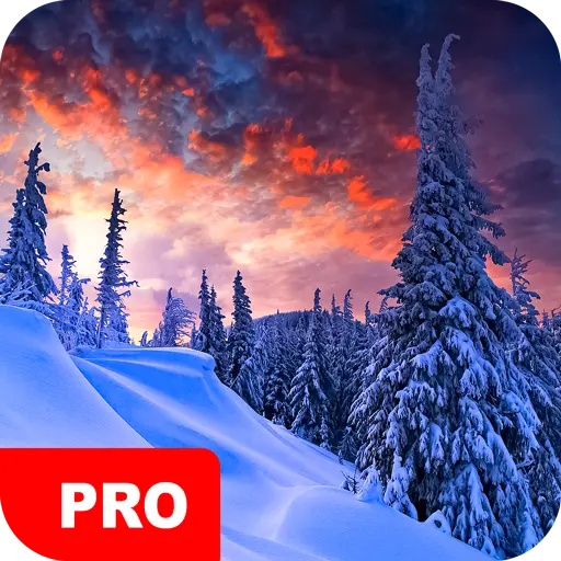 Winter Wallpapers PRO icon